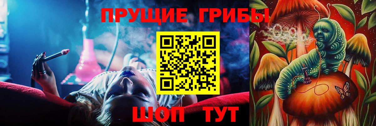 Нижнекамск  Галлюциногенные грибы прущие грибы  Вход с VPN  Галлюциногенные грибы Psilocybe 